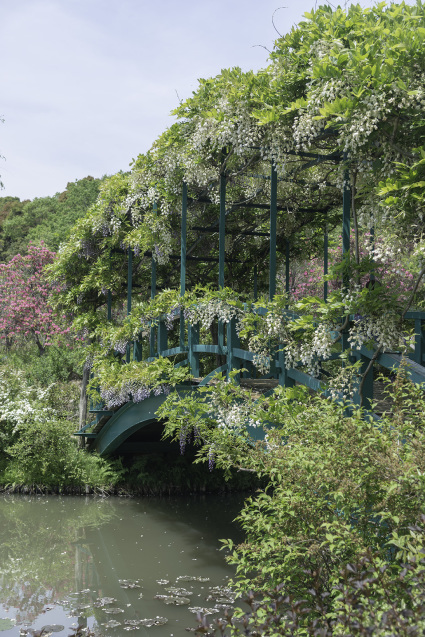 花咲く橋_f0158043_22352684.jpg