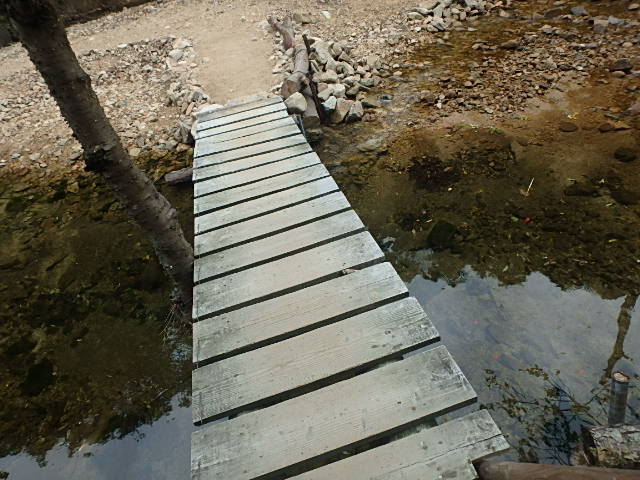 f0334143_20414999.jpg