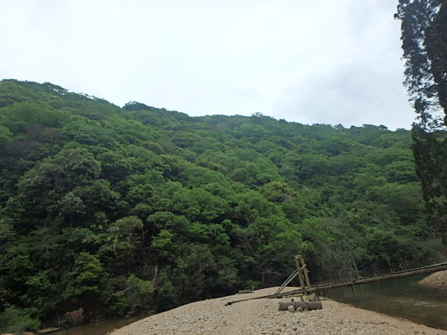 f0334143_2042424.jpg