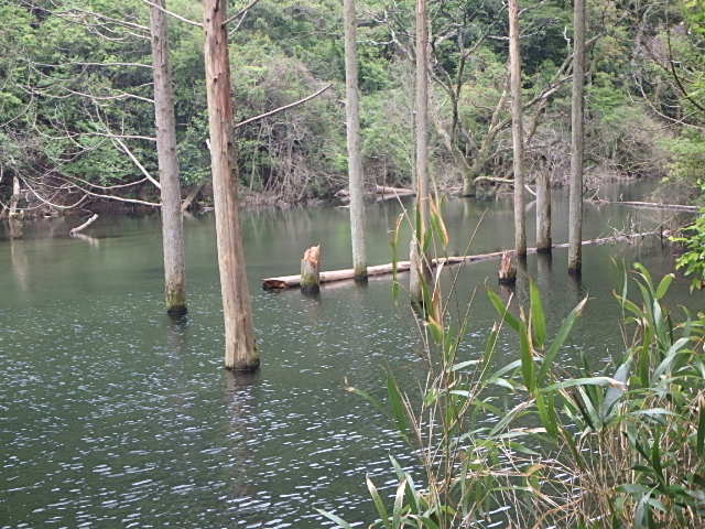 f0334143_20431980.jpg