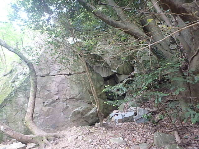 f0334143_20434627.jpg