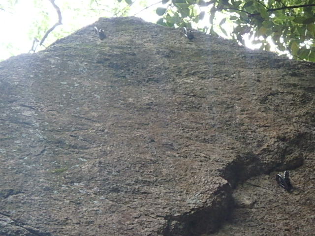 f0334143_20463570.jpg