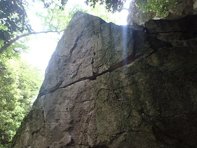 f0334143_2046561.jpg