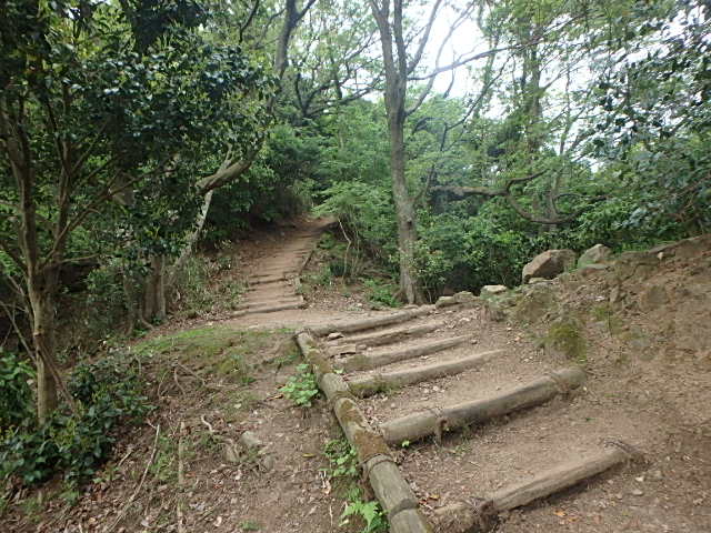 f0334143_20482959.jpg
