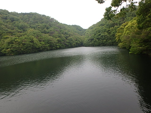 f0334143_20532063.jpg