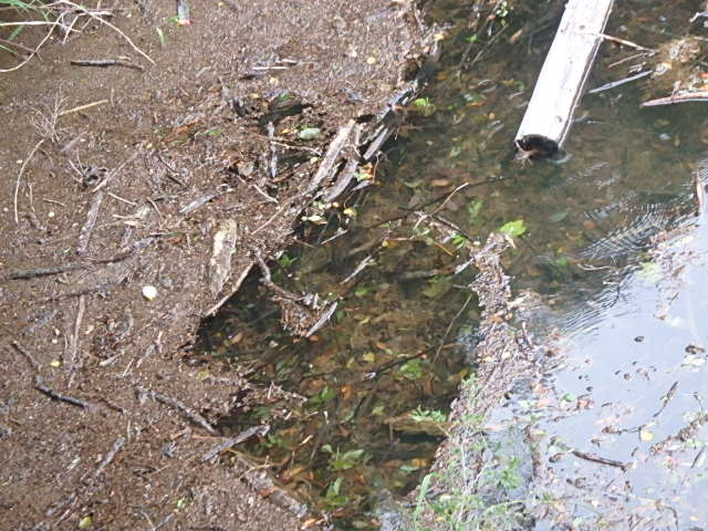 f0334143_20554678.jpg