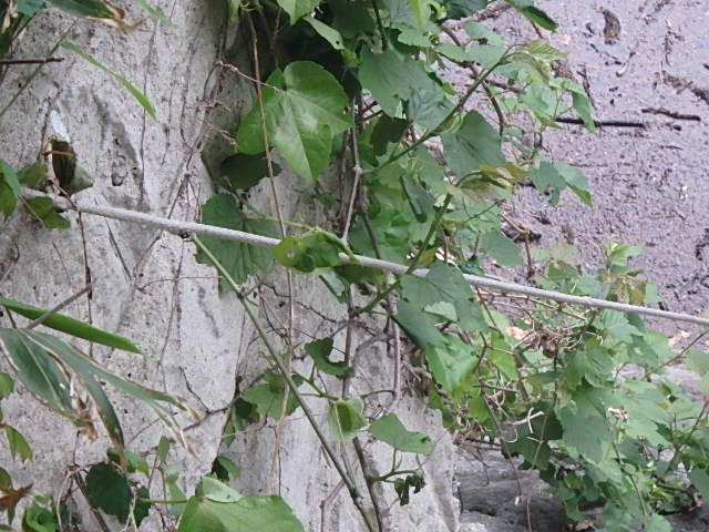 f0334143_2057951.jpg