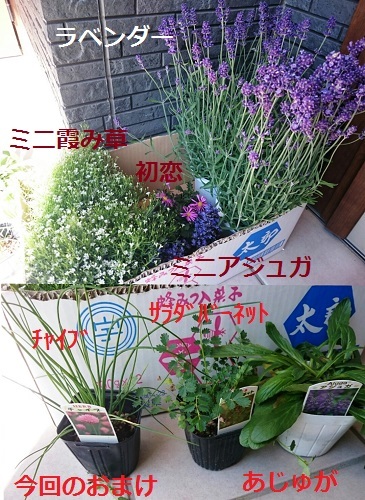 d0306248_21352687.jpg