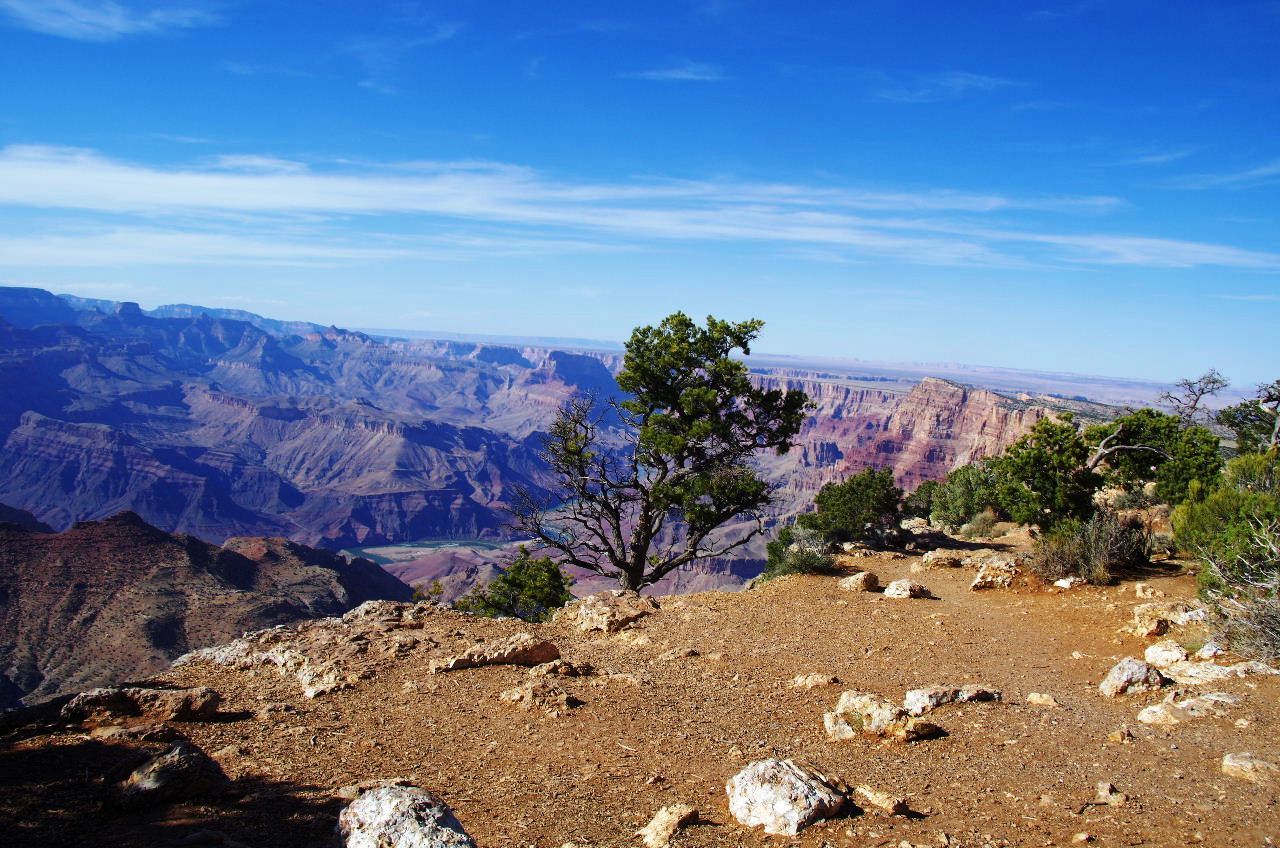c0011649_04292089.jpg