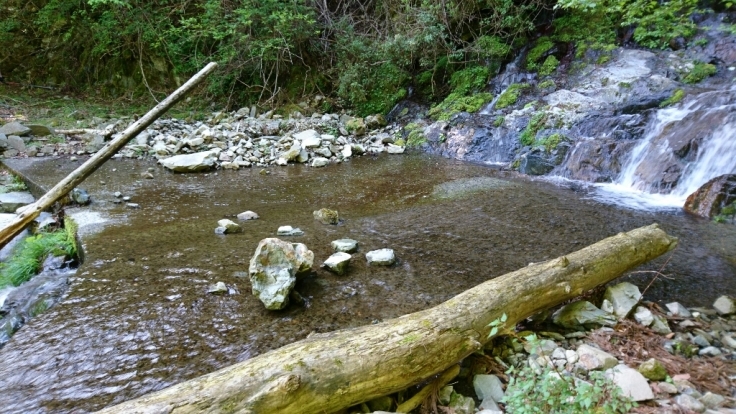 b0148050_08095500.jpg