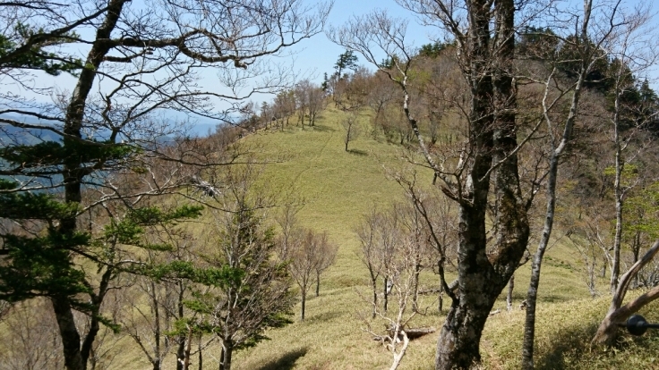 b0148050_20395622.jpg