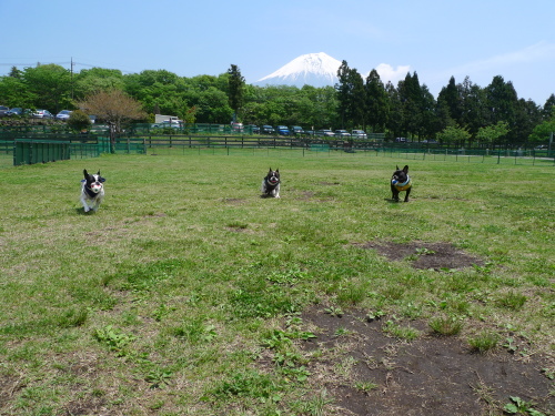 b0307951_22260958.jpg