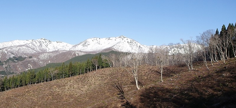 c0097754_13485902.jpg