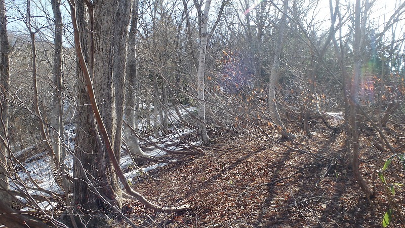 c0097754_13511471.jpg
