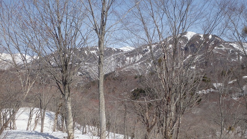 c0097754_13523718.jpg