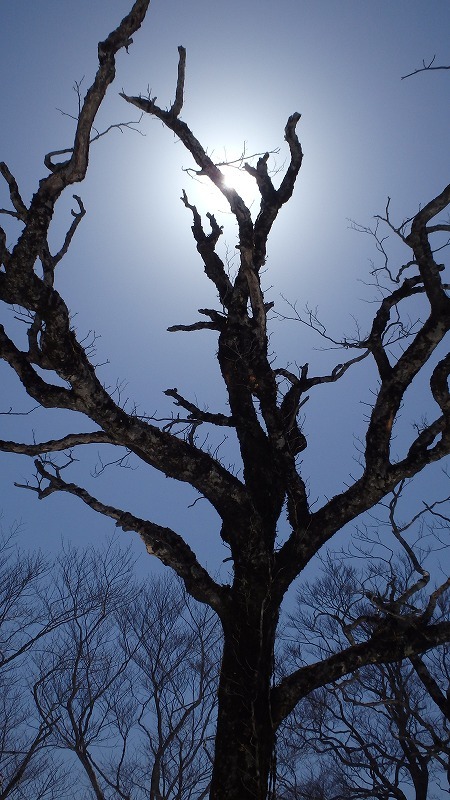 c0097754_13540780.jpg
