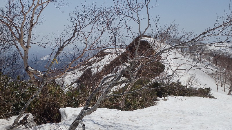 c0097754_14012862.jpg