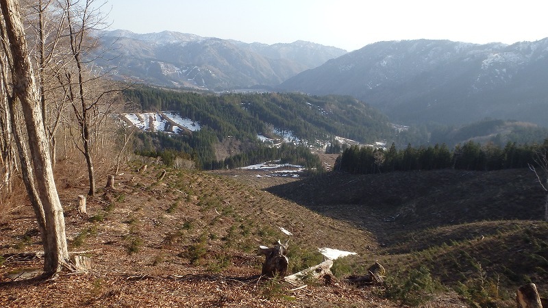 c0097754_14031200.jpg