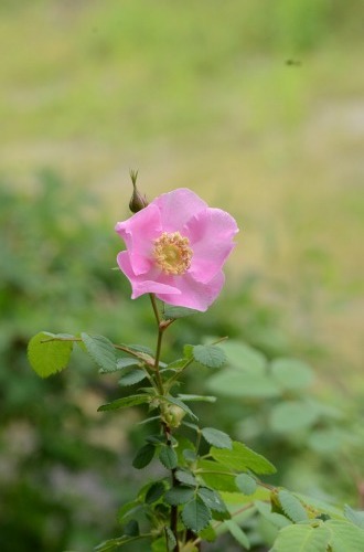 c0186463_00142740.jpg