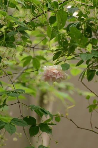 c0186463_00162539.jpg