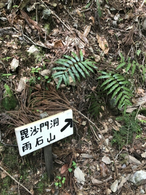 雨石山　４月２２日_c0260463_06154377.jpg