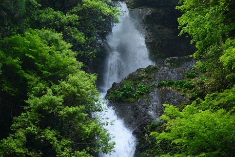 静寂の森　　楊枝ノ森_c0303868_05381972.jpg