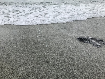 海での安らぎ_a0136671_00455804.jpg