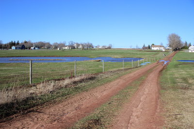 c0353373_20500925.jpg