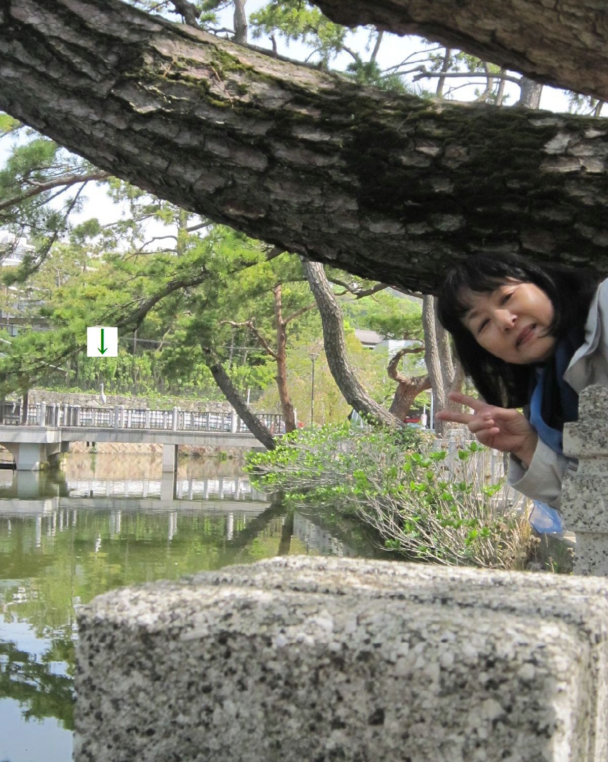 緑まばゆい季節となりました☆(5月10日追記あり) _a0207574_08004194.jpg