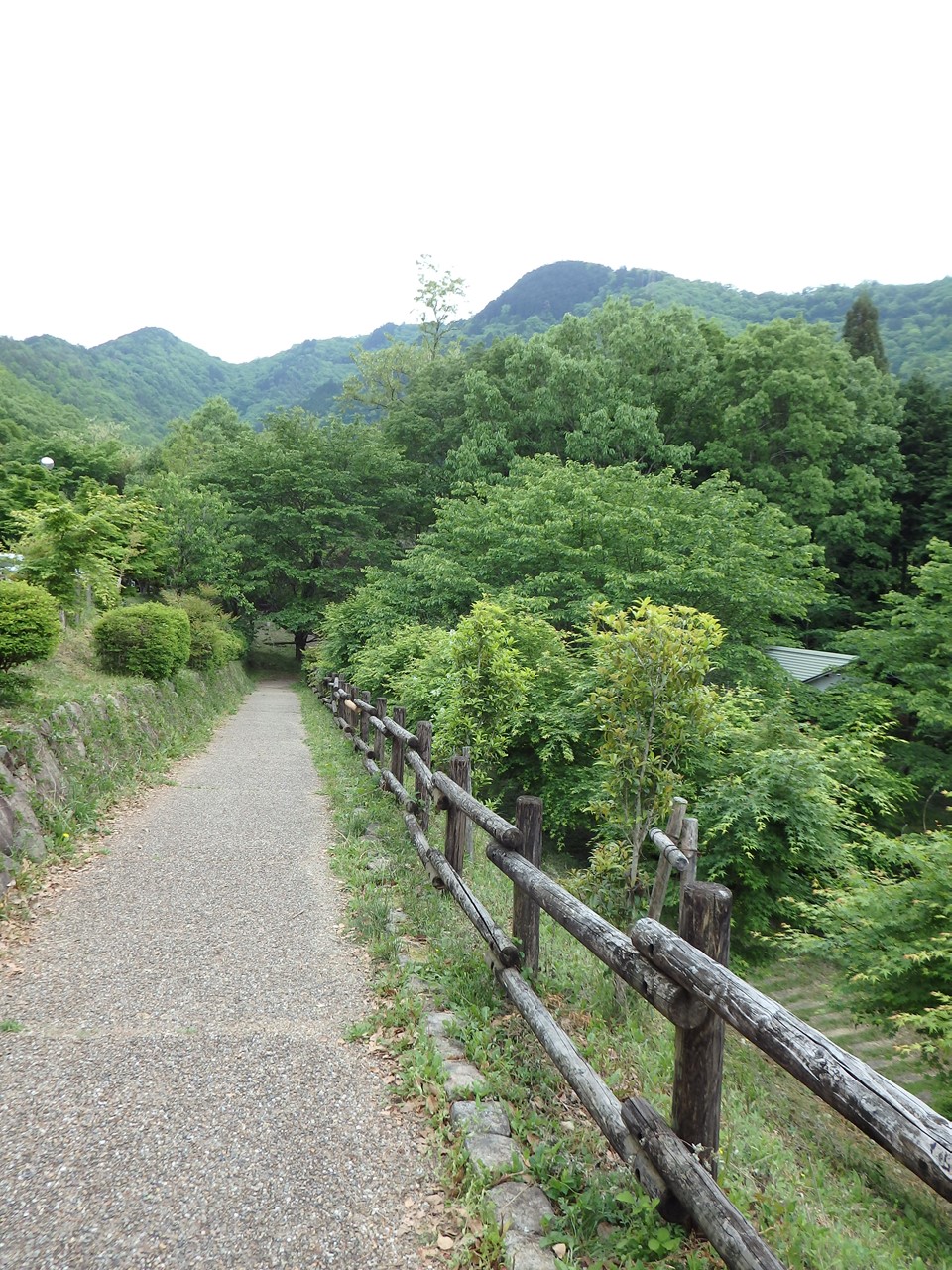 d0054276_20325417.jpg