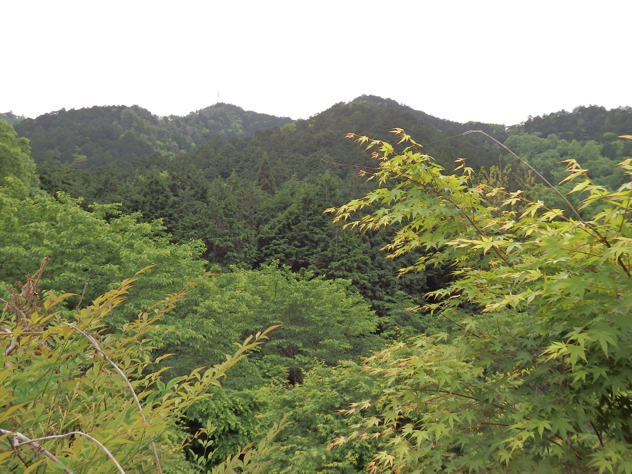 d0054276_20355617.jpg