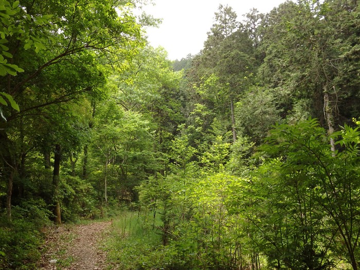 d0054276_20381954.jpg