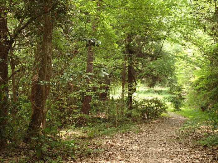 d0054276_20385742.jpg