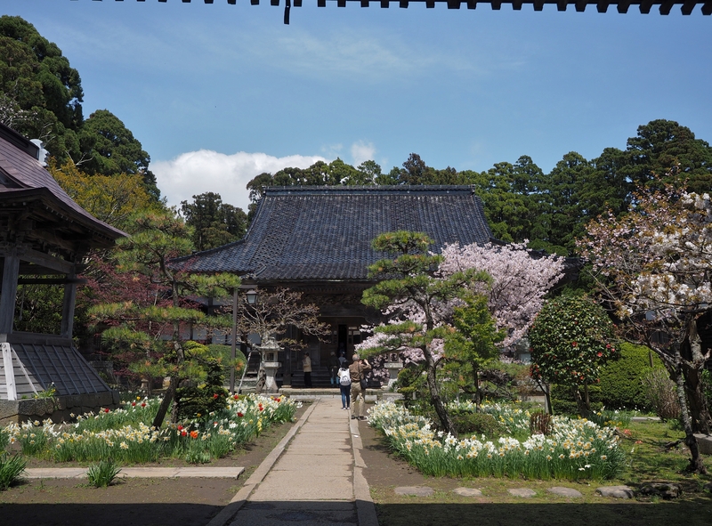 5/7  函館朝市、五稜郭公園、トラピスト修道院、松前公園　１７：４０帰札　バス走行距離４１７ｋｍ_c0183777_12504315.jpg