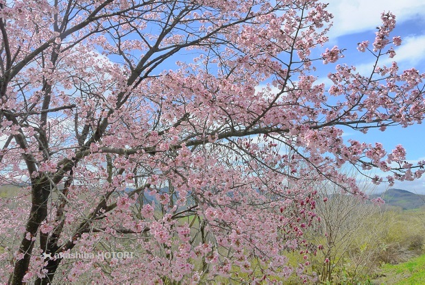 f0150377_14270716.jpg