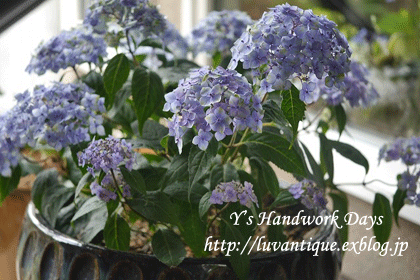 f0330978_14040150.gif
