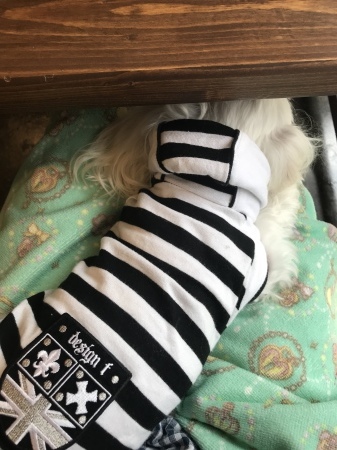 b0193480_16115160.jpeg