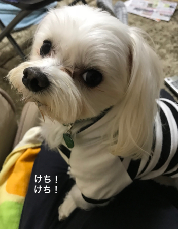 b0193480_16121138.jpeg