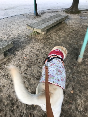 f0315081_22023916.jpeg