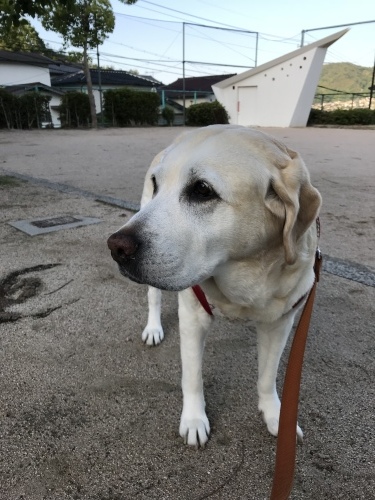 f0315081_22032934.jpeg