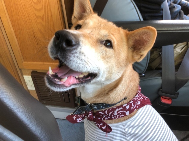 c0332184_18154449.jpeg