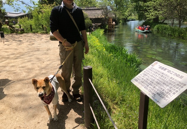 c0332184_18223968.jpeg