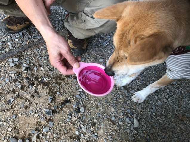 c0332184_18274017.jpeg