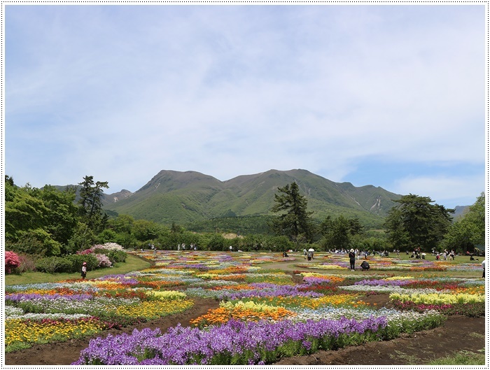 ２０１８年のGW、お天気に恵まれてのお出掛け　その６　まだくじゅう花公園にいたよ_b0175688_22390749.jpg