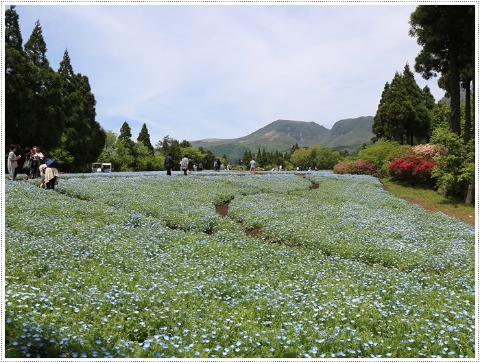 ２０１８年のGW、お天気に恵まれてのお出掛け　その６　まだくじゅう花公園にいたよ_b0175688_22410608.jpg