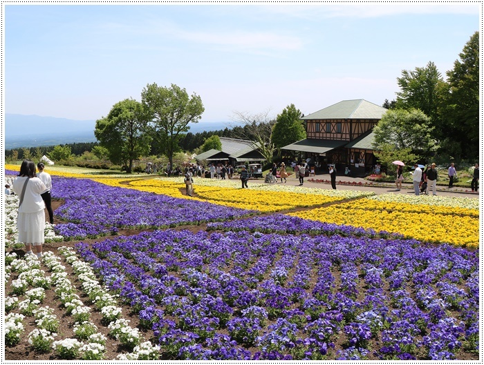 ２０１８年のGW、お天気に恵まれてのお出掛け　その６　まだくじゅう花公園にいたよ_b0175688_22505710.jpg