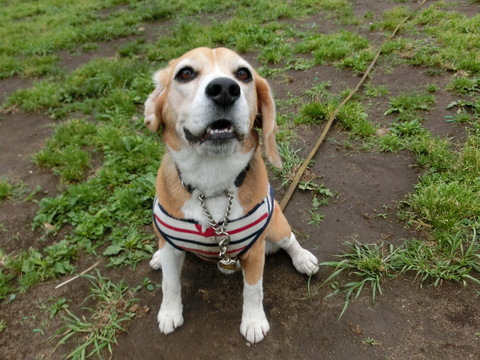 a0319693_741513.jpg