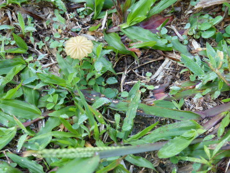 c0324393_09302929.jpg