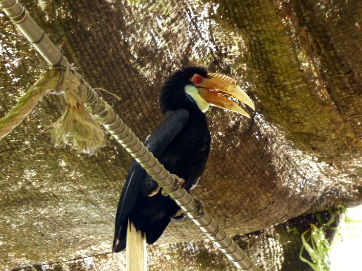 c0324393_14491013.jpg
