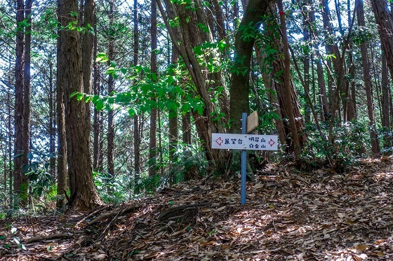 e0176993_07162117.jpg